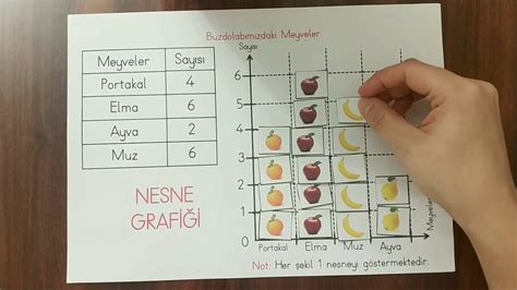 meyve nesne grafiği